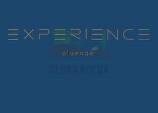 26_logo experience